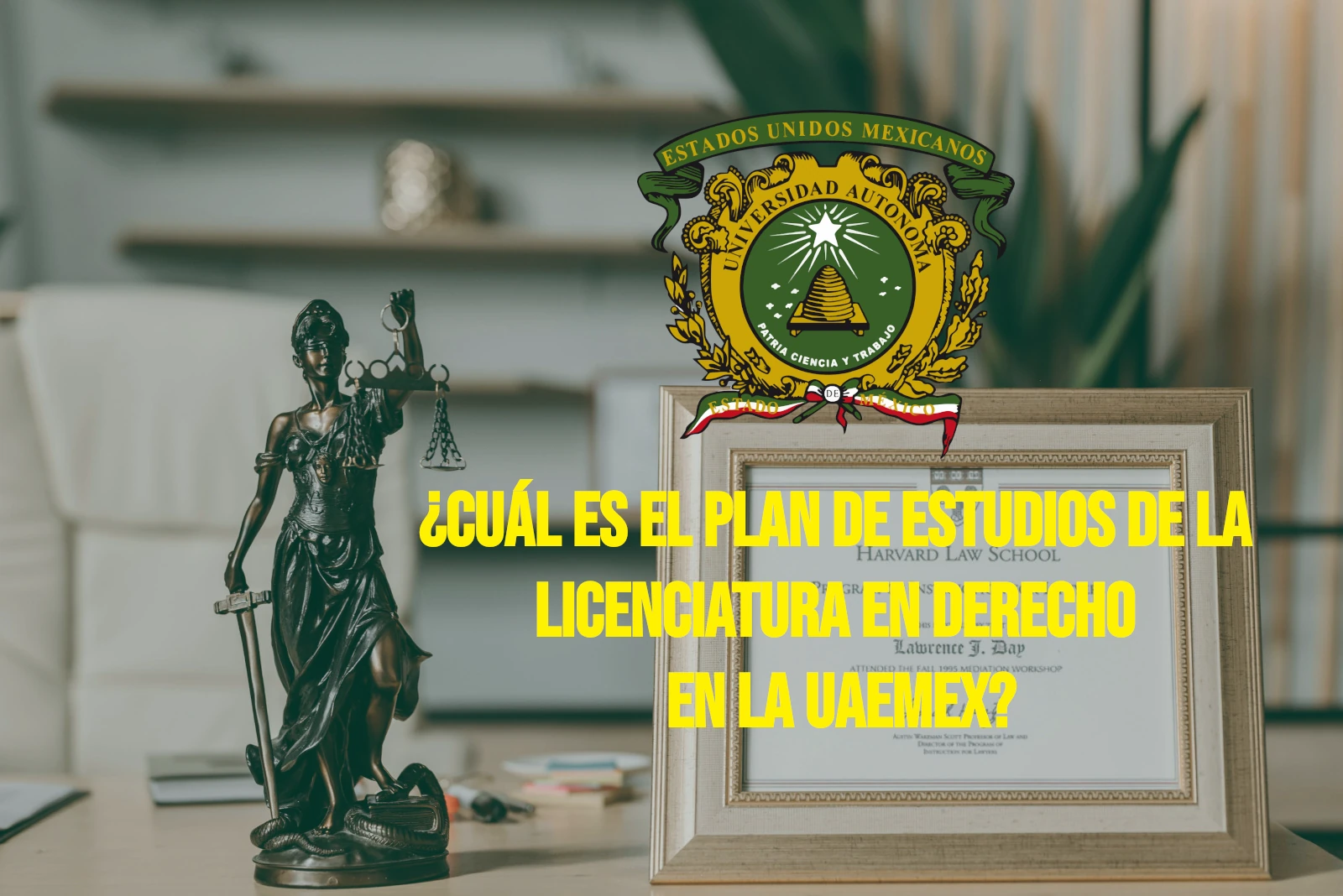 Lo Que Nadie Te Dice del Plan de Estudios de Derecho en la UAEMex 1 Licenciatura en Derecho de la UAEMex